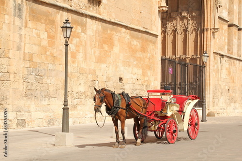 Horse Carriage in Majorca © rrrainbow