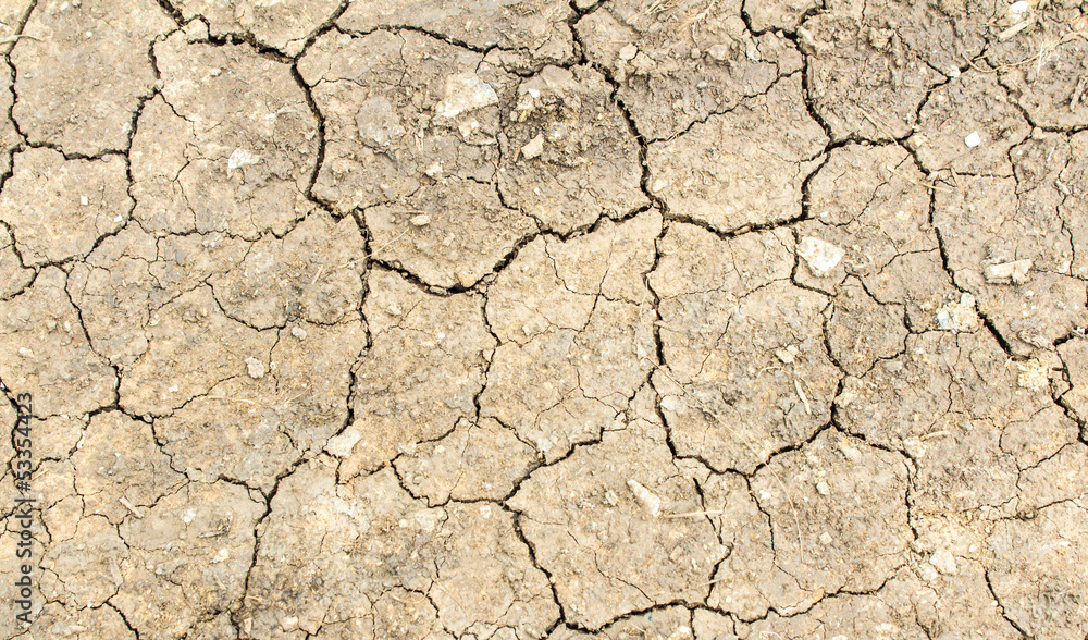 dry soil texture background dry soil texture background