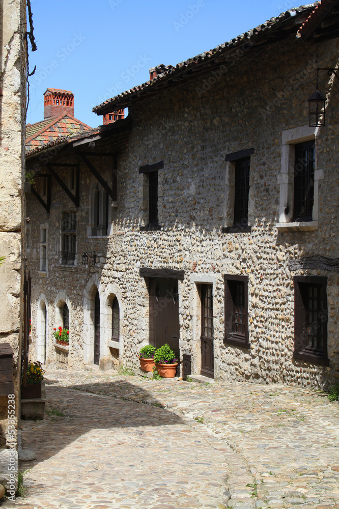 Rue du village Medieval de Perouges