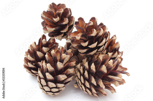 Stacks of pine cones on white background