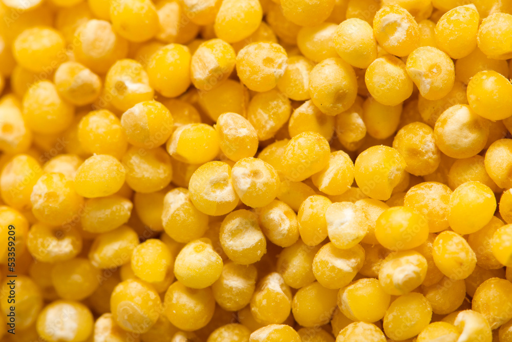 background of millet. macro background of millet. macro