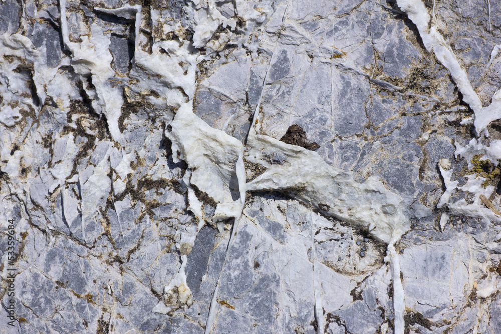 Fototapeta premium texture - pietra