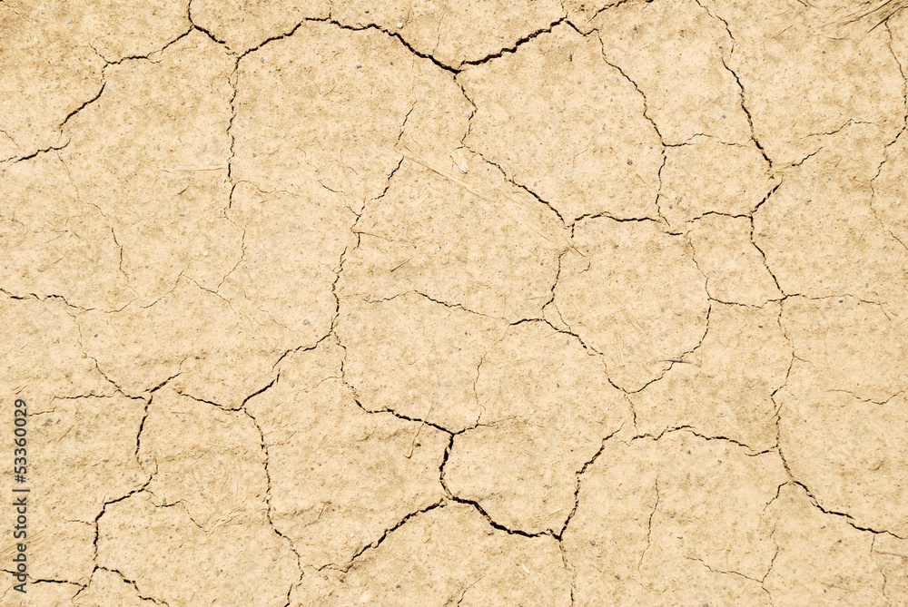 Fototapeta premium Dry cracked land abstract texture