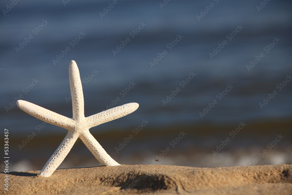Starfish on beach at ocean background Starfish on beach at ocean background