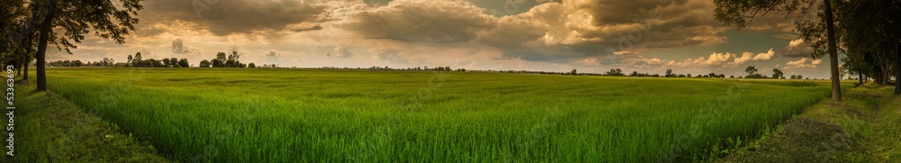 Polish summer landscape, panorama with clouds and trees