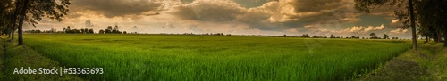 Polish summer landscape, panorama with clouds and trees