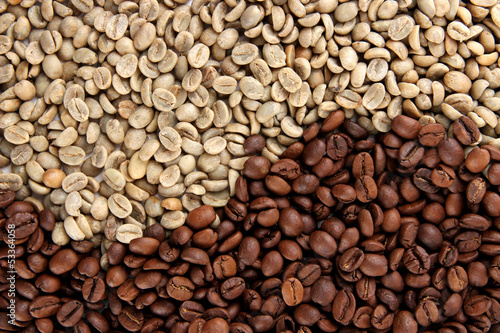 Green and brown coffee beans, close up