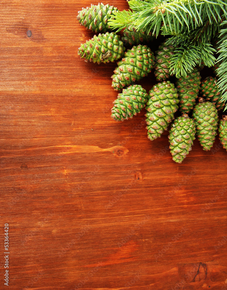 Fototapeta premium Green cones and fir tree on wooden background