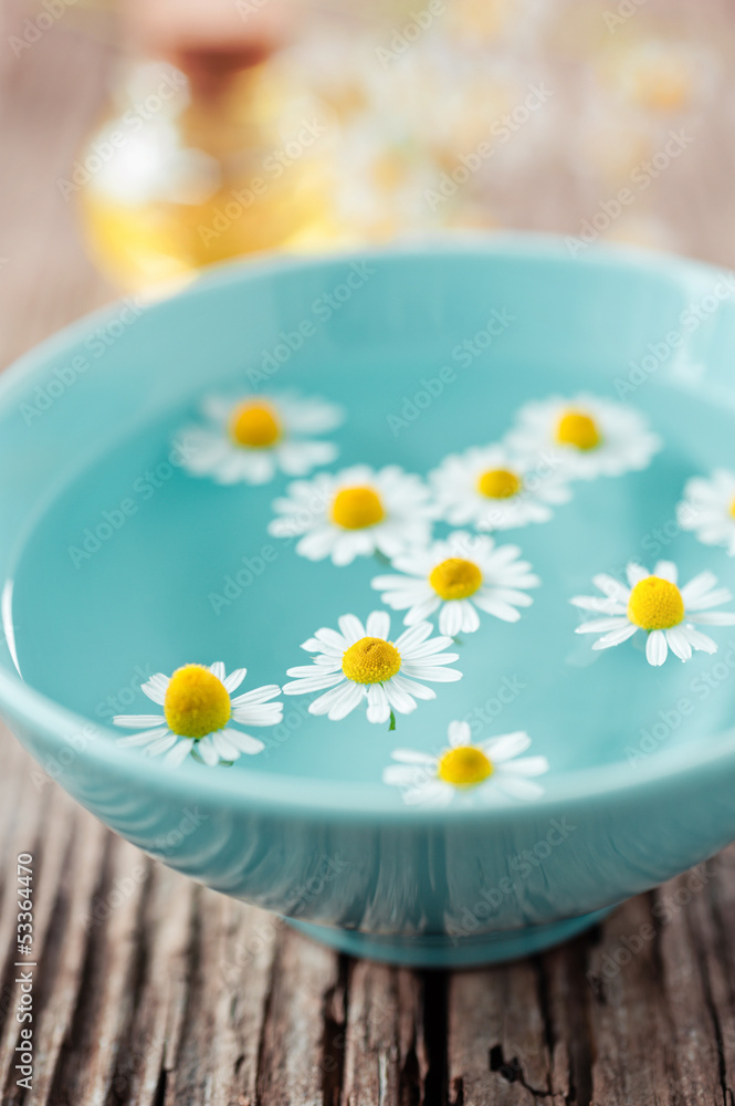 kamillenblüten in einer schale kamillenblüten in einer schale
