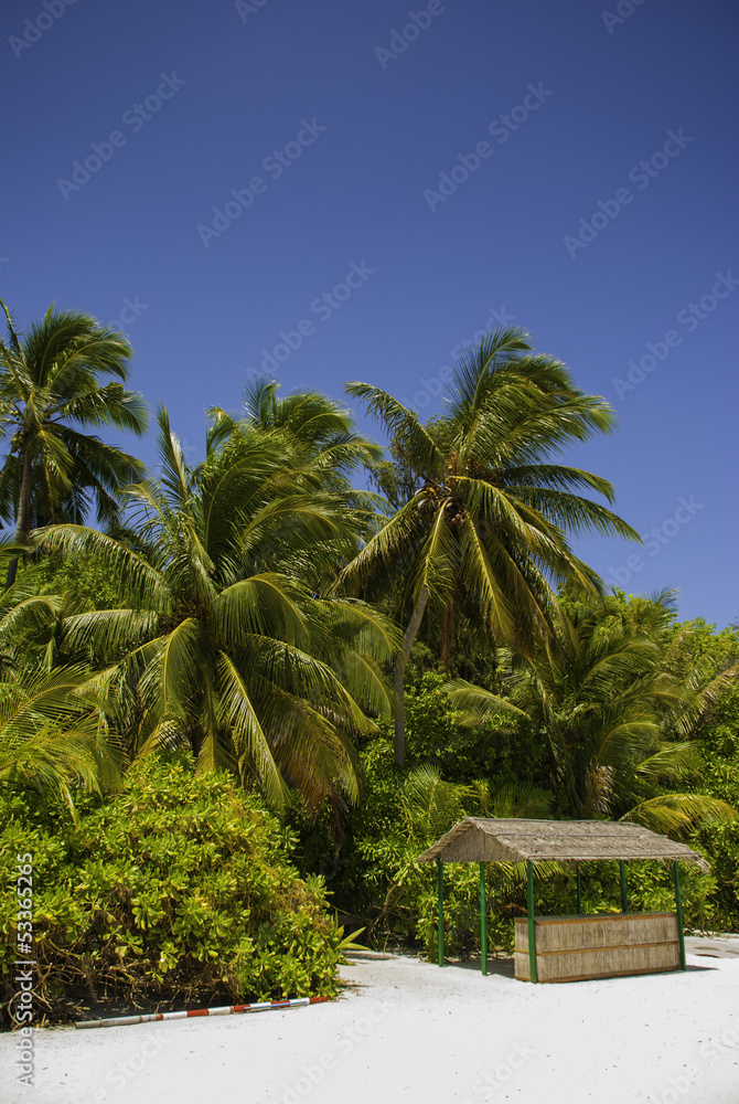 Fototapeta premium Maldives Beach with small Hut