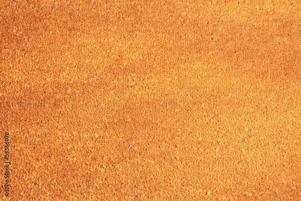 Fototapeta premium Brown carpet