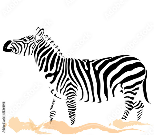 Fototapeta Naklejka Na Ścianę i Meble -  zebra pattern