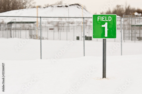 Snowy Baseball