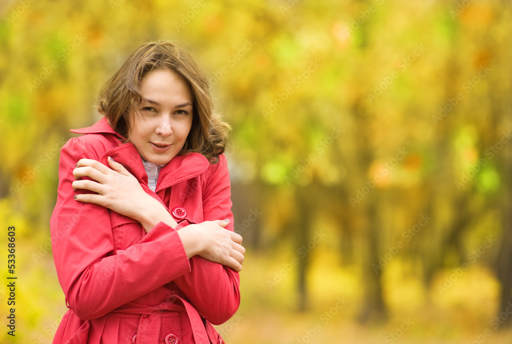 the beautiful girl freezing in autumn park the beautiful girl freezing in autumn park