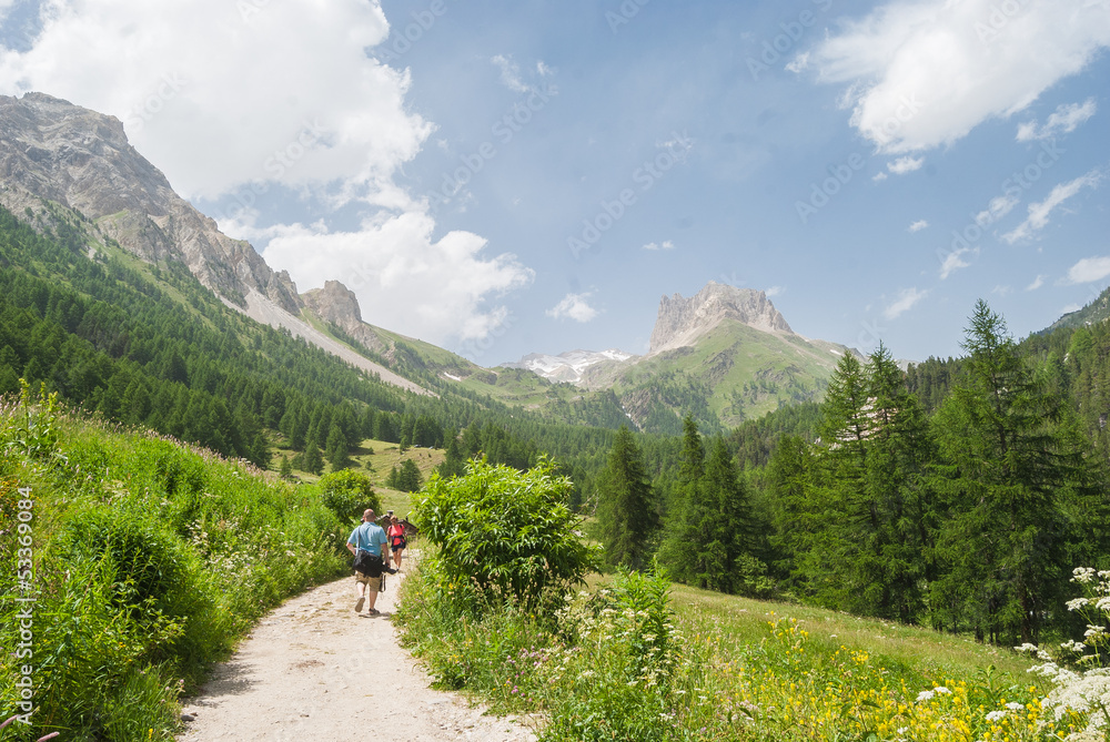 A Mountain Trail