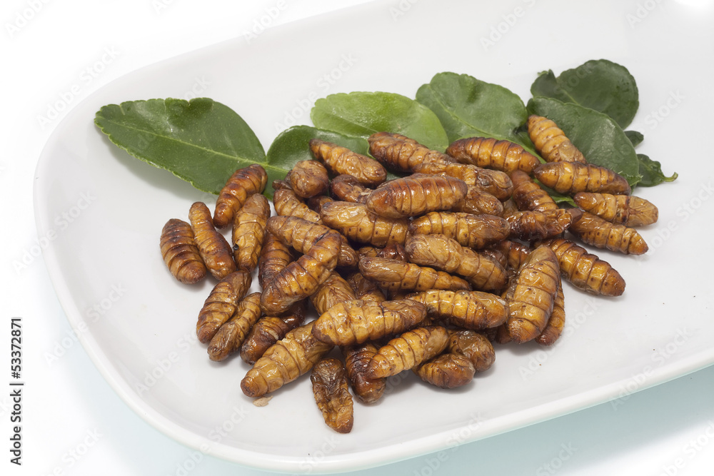 Tasty crispy silkworm Tasty crispy silkworm