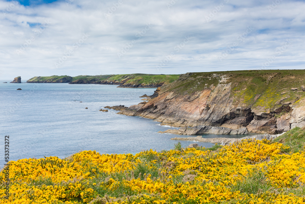 Pembrokeshire coast scene towards Skomer Island Wales Pembrokeshire coast scene towards Skomer Island Wales