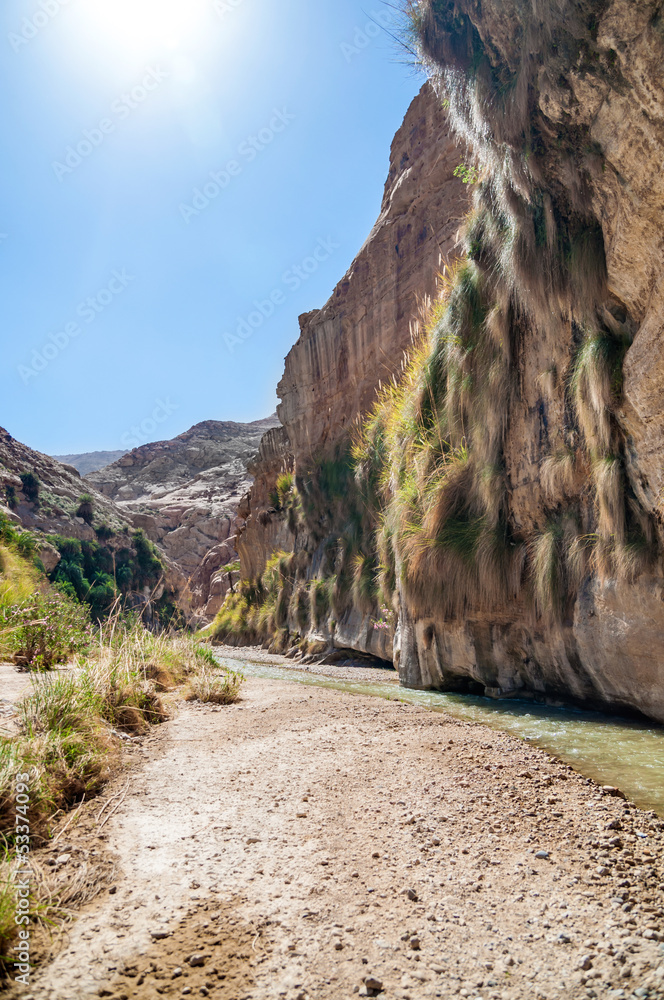 The creek in valley Wadi Hasa in Jordan