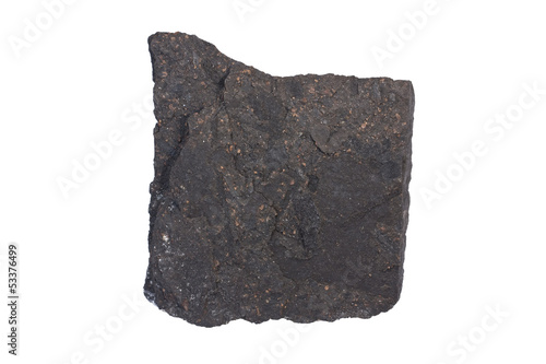 Boghead coal torbanite photo