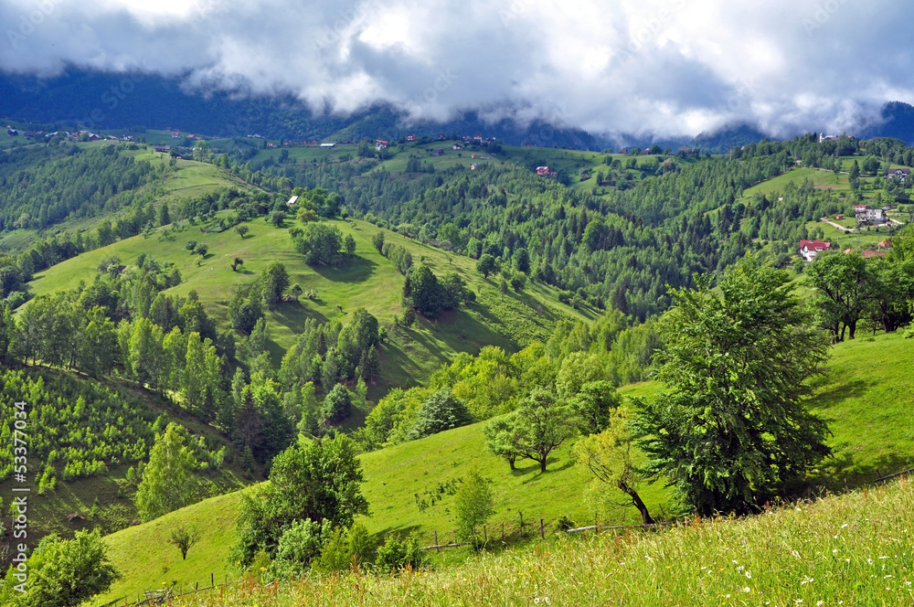 Vibrant green hills and mountain Vibrant green hills and mountain
