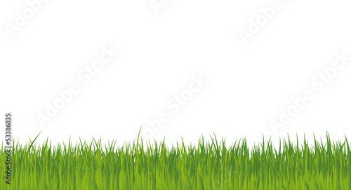 Vector Grass