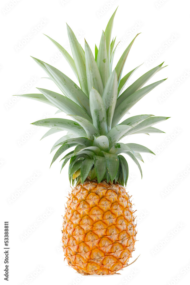 Fototapeta premium Large ripe pineapple isolated on white
