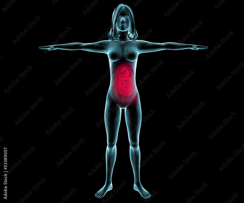 Obraz premium Donna intestino raggi x apparato digerente
