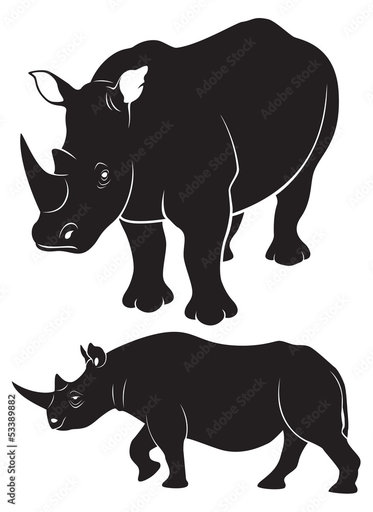 Fototapeta premium rhinoceros