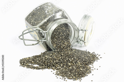 Salvia hispanica chia seeds