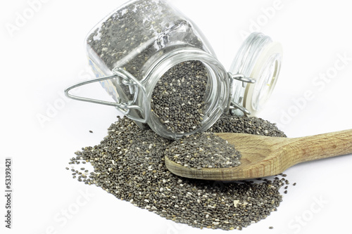 Salvia hispanica chia seeds