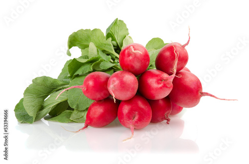 Fresh Red Radishes with Green Leaves
