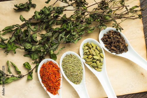 Variuos of Spices with branch of dried Mint