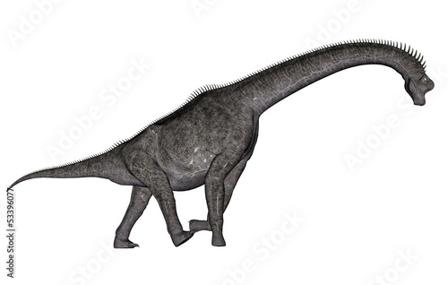 Brachiosaurus dinosaur © Elenarts