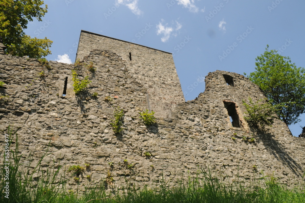 Ruine Tellenburg