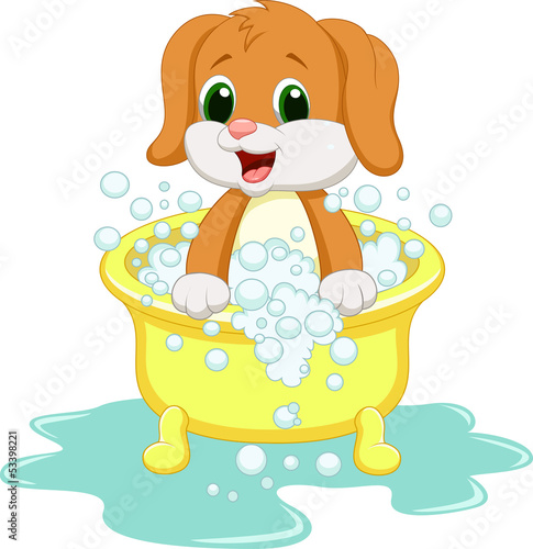 Dog bathing