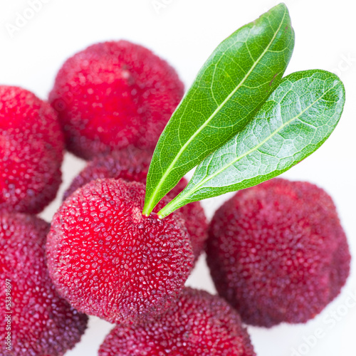 Close up of pile of waxberry photo