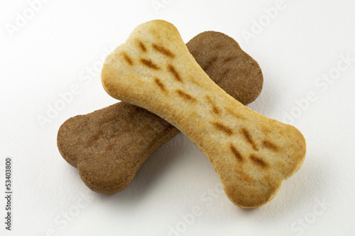Biscotti per Cane