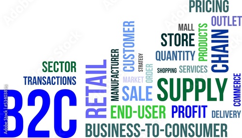 word cloud - b2c