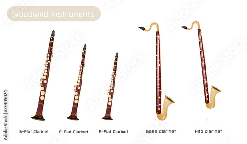 Various Kind of Clarinets Isolated on White Background
