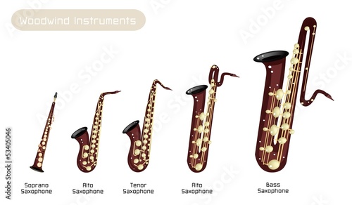Different Kind of Musical Saxophone on White Background photo