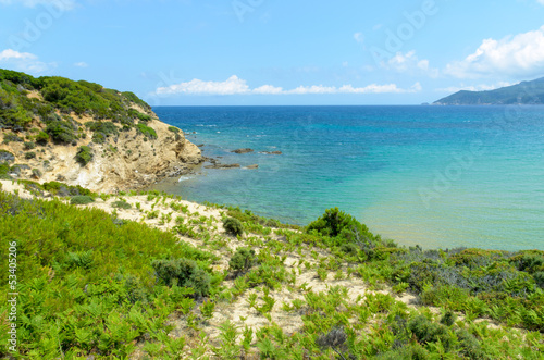 Wild grassy beach