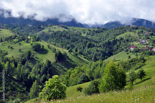 Beautiful green, vibrant mountains