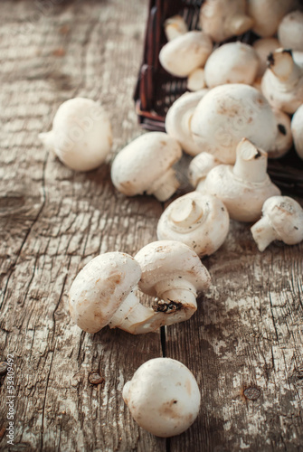 White Mushrooms Cepes scattered on the wooden table