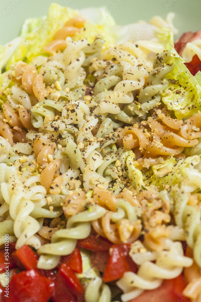 Colorful salad with pasta and variety of vegetables Colorful salad with pasta and variety of vegetables