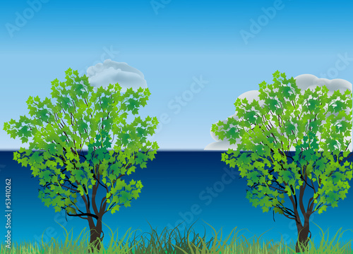 two green trees neas blue sea photo