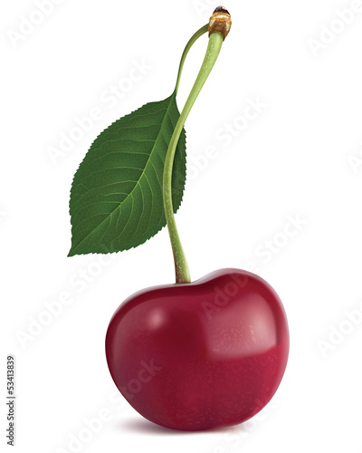 Cherry with leaf. Vector illustration