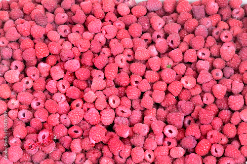 Raspberry field.
