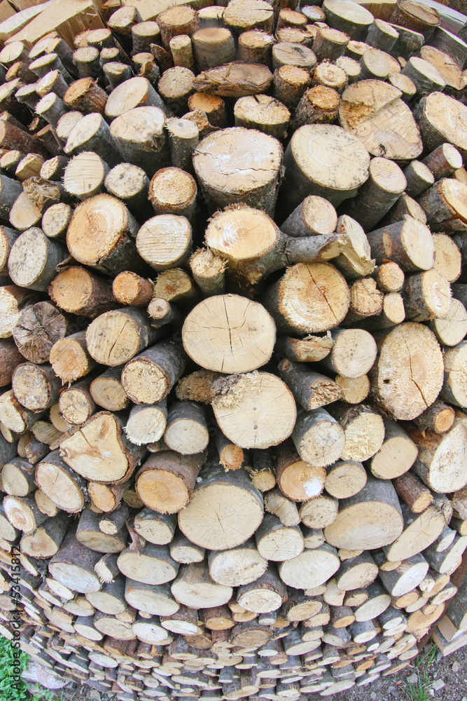 Woodshed with logs cut and perfectly aligned for heating during Woodshed with logs cut and perfectly aligned for heating during
