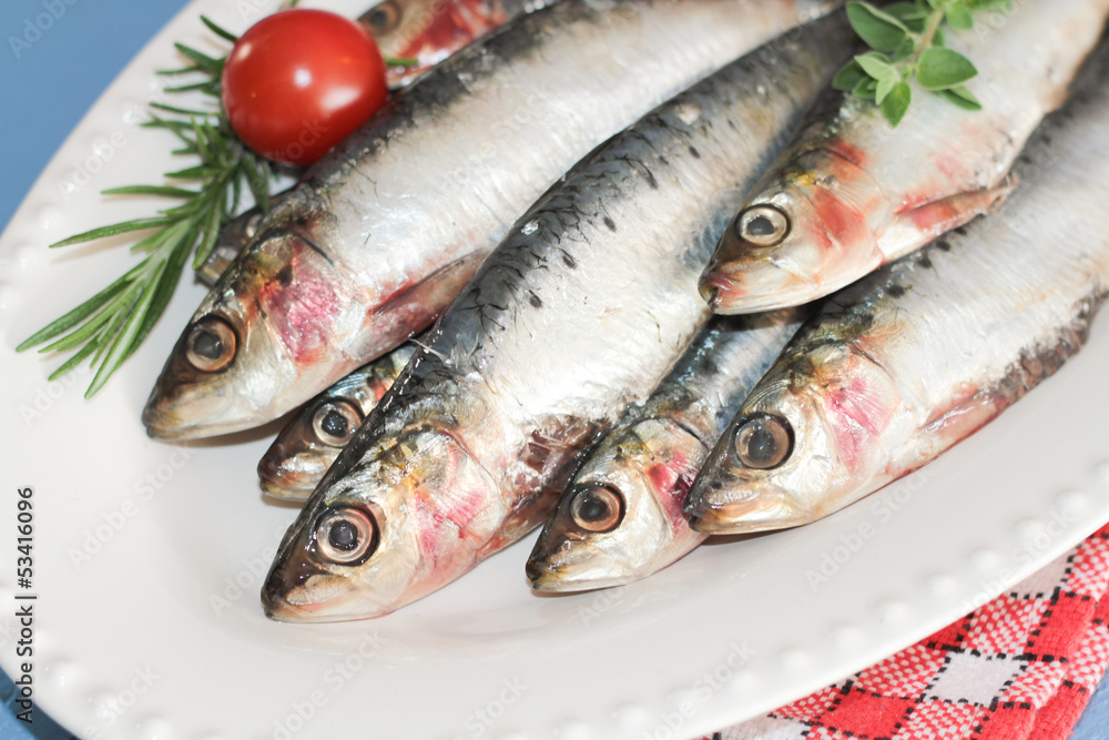 sardines