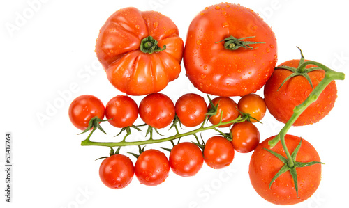 A group of various type and sizes of tomatoes